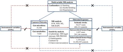 Causal associations between gut microbiota, gut microbiota-derived metabolites, and cerebrovascular diseases: a multivariable Mendelian randomization study